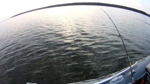 Вся рыба на отводной поводок,рыбалка на КАМЕ.