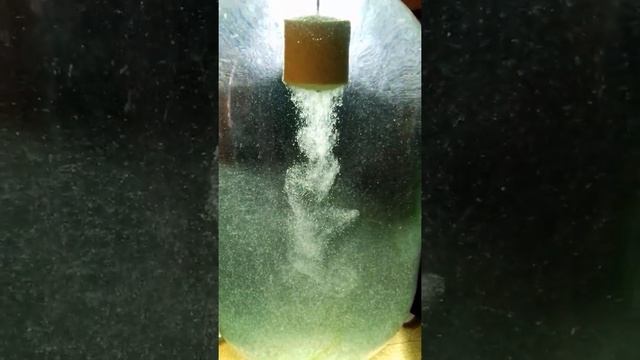 РАБОТА ПЛАНКТОНА в воде из водоёма !!! смотреть онлайн