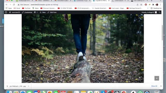 Easy introduction to building web sites and blogs with Wordpress OceanWp theme and more Part 1 смотреть онлайн