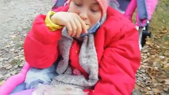 НЕ ХОЧУ ПЕЧЕНЬЯ, НЕ ТО ПАЛЬТО, НЕМЕДЛЕННО КУПИТЕ СЛАДКИХ ПАЛОЧЕК! смотреть онлайн