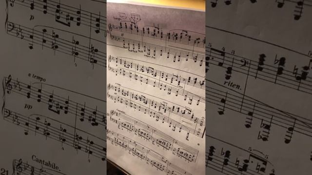 «Пианистическая кухня» Chopin Prelude op.28#20 c moll Шопен Прелюд ор.28#20 до минор Пульс, ритм смотреть онлайн