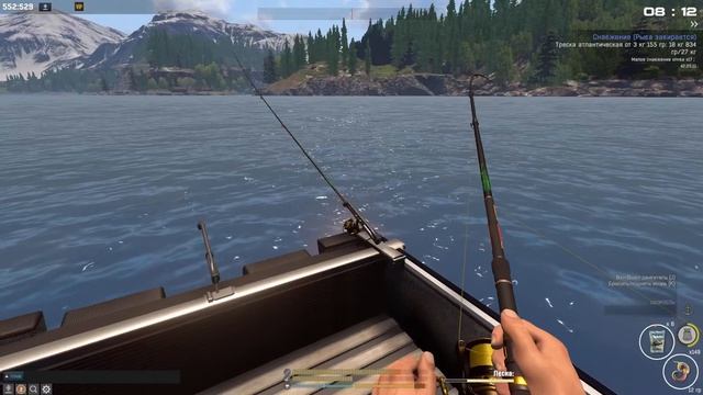 Треска Атлантическая Норвегия Fisher online смотреть онлайн