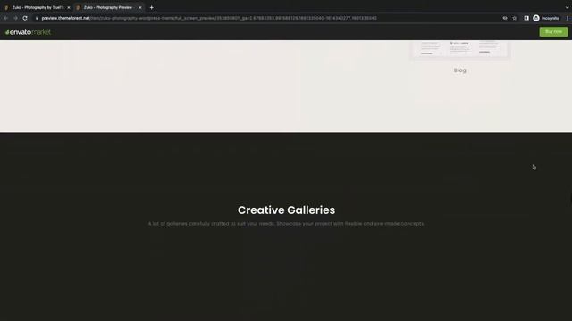 Best Photography WordPress Theme For Photographer Website смотреть онлайн