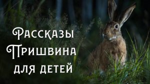 Рассказы Пришвина для детей