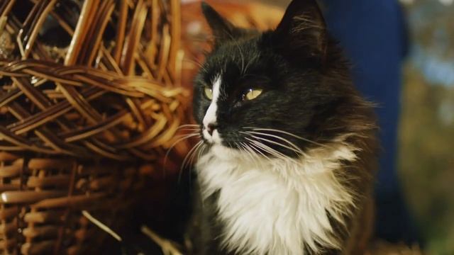 Такого искреннего и чистого мужского восхищения в моей жизни больше не было... смотреть онлайн