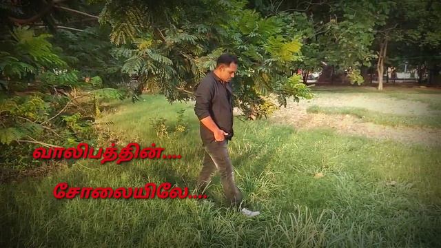 sollamal thottu sellum.... смотреть онлайн