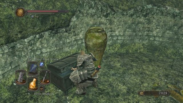 Dark Souls 2 Scholar of the First Sin Platinum Trophy Guide Part 8. 14/38 Trophies unlocked смотреть онлайн