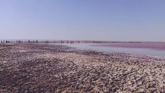 Розовая Соль: Розовое Озеро Сасык-Сиваш / Крым Евпатория Саки 2021 смотреть онлайн