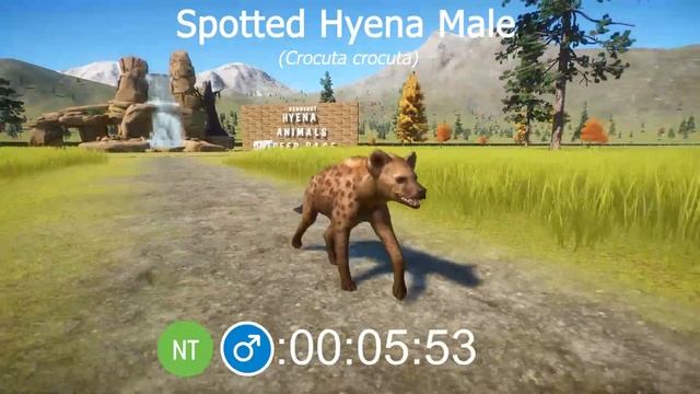 Hyena Species Speed Races in Planet Zoo included Striped Hyena and Spotted Hyena смотреть онлайн