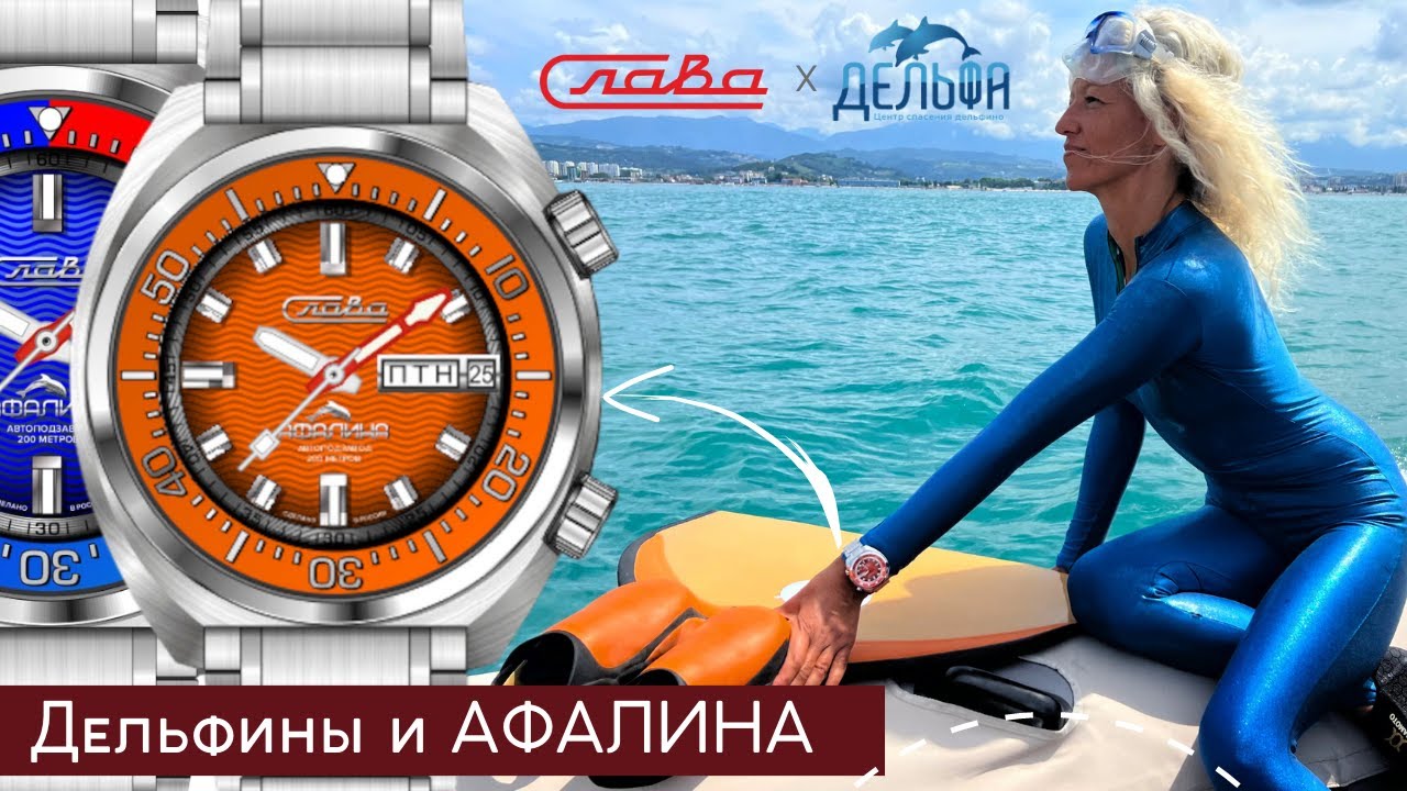 СЛАВА ПОМОГАЕТ СПАСАТЬ ДЕЛЬФИНОВ. КАК ЭТО РАБОТАЕТ? смотреть онлайн