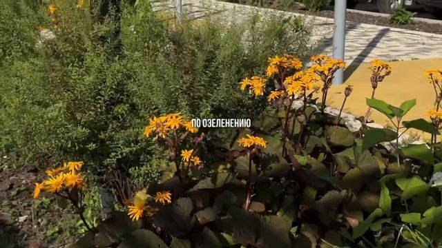 ЖК СМАЙЛ смотреть онлайн