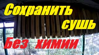 Сохранить сушь пчелиную от моли и мышей без химии в течении года.Осушка пчелиных сот за 2 часа. смотреть онлайн