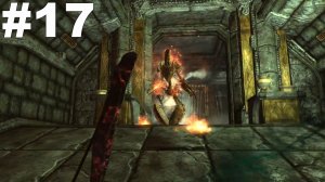 ▶The Elder Scrolls V: Skyrim. Открытие Невидимого. Добраться до Окулатории. #17