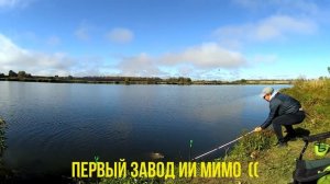 Рыбалка в Пензенской области. Ловля трофейного карпа на пруду Сырты.