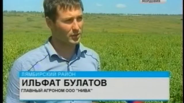 20 миллионов банок зелёного горошка обещают закатать республиканские аграрии смотреть онлайн