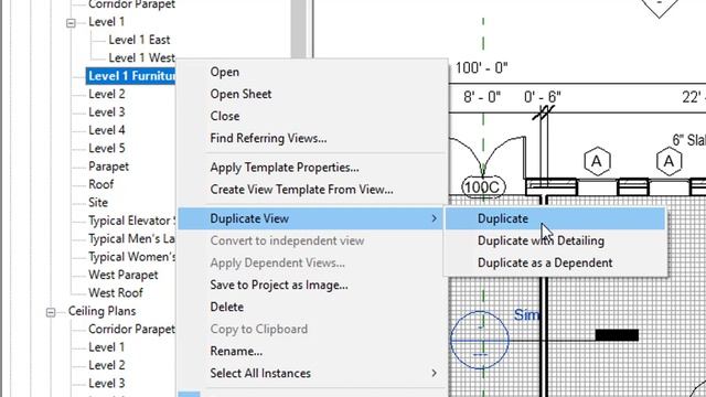 HOW TO DUPLICATE VIEWS IN REVIT ? IN ENGLISH смотреть онлайн