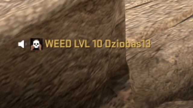 КАК ИГРАЮТ 2LVL FACEIT (CS:GO) смотреть онлайн