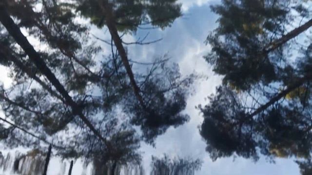 Два авто Эмгранд 8 + Эмгранд 7 на свадьбе в городе Сумы смотреть онлайн