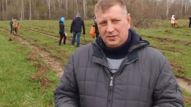 Восстановление лесного массива смотреть онлайн