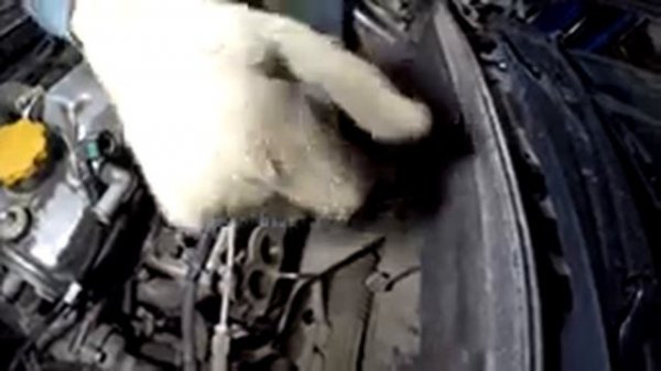 Удаление катализатора DATSUN.