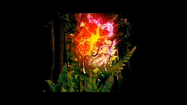 цветок желаний смотреть онлайн