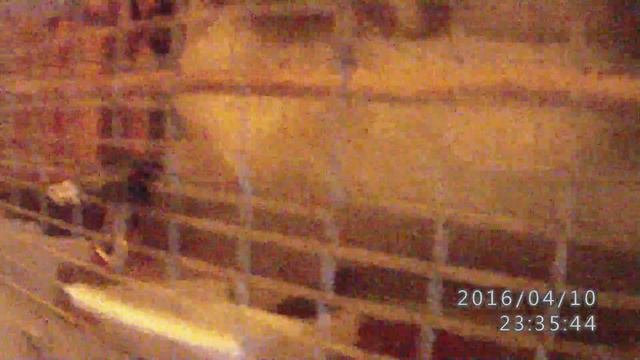 Попугаи корелла в Туле. Продажа корелл в Туле.