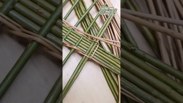 Плету из прутьев ивы. Питомник сортов ивы для плетения корзин и ландшафтного плетения живых деревье смотреть онлайн
