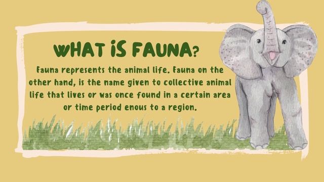 what is Flora And Fauna ? | Importance Of Flora & Fauna with Example | 3D Visuals смотреть онлайн