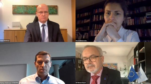 Financing the Future: Investing in Sustainable Growth with W. Hoyer, R. Brinkhaus & Dr. Steilemann смотреть онлайн