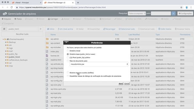 Como Mostrar ARQUIVOS OCULTOS NO CPANEL (.htaccess, .php.ini, etc) смотреть онлайн