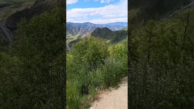 Горный Алтай. Перевал Чике -таман. Природа по дороге. смотреть онлайн