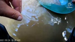 Трех дневная поездка за золотом по речкам Подмосковья в поисках известкового платика.(День первый.)