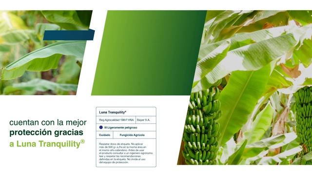 Conoce Luna Tranquility® | Agro Bayer Ecuador смотреть онлайн