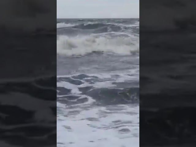 Лаптевых. net смотреть онлайн