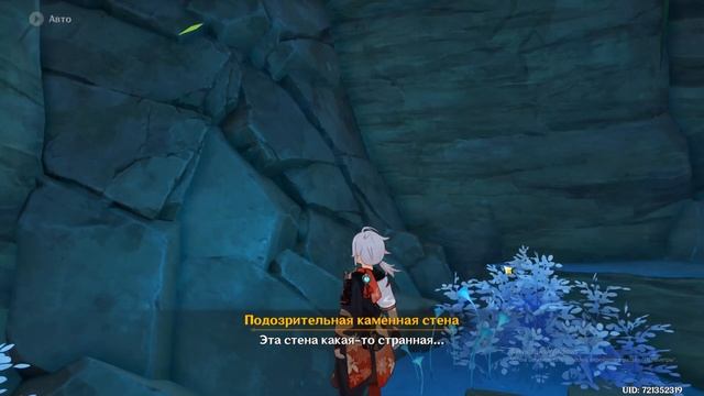 Исследуйте кустарник на каменной стене ( Genshin Impact ) смотреть онлайн