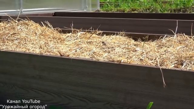 Отзыв о теплой высокой грядке 