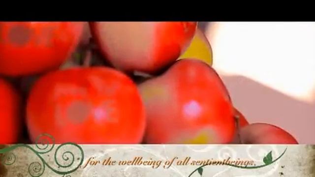 Gyalwang Drukpa Song смотреть онлайн