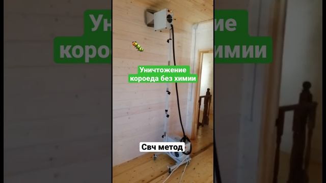 Защита дома от древоточцев, шашелей, короедов, точильщиков и т.д. без химии, безопасно, 100% смотреть онлайн
