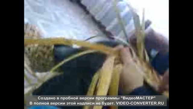 Трехгорный, мастер класс лапти смотреть онлайн