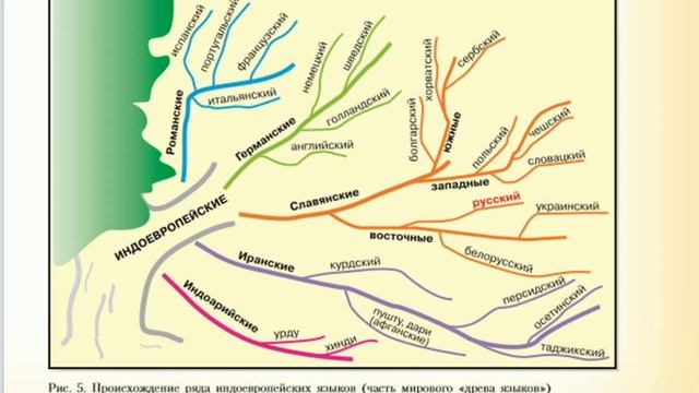 Краткий пересказ §47 география 7 класс Европа в мире Алексеев Николина. смотреть онлайн