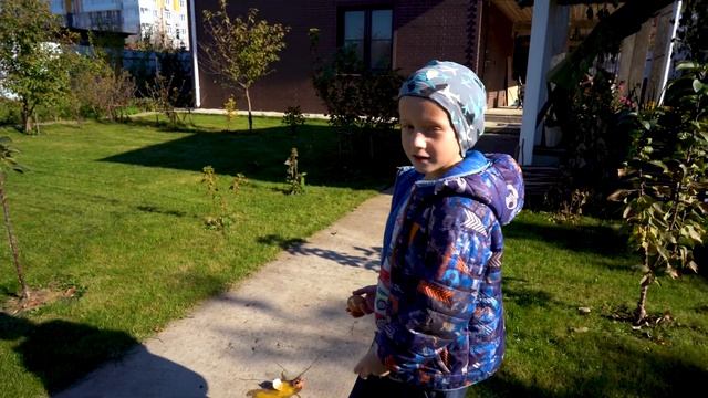 Замороженное яйцо прочнее? Разбить яйцо! смотреть онлайн