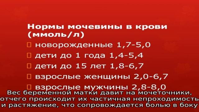 Что такое гидроуретер