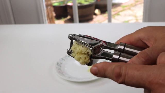 Professional   ❤️ Stainless Steel  Garlic Press -  Review  ✅