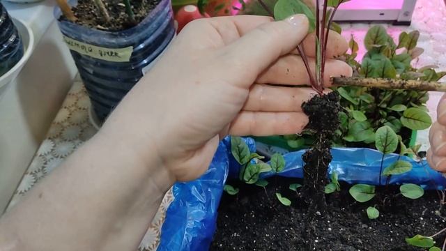 Живопись и Рисование