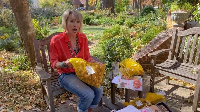 Spring Bulb Garden Design Tips & Tricks & What I’m Planting This Year смотреть онлайн