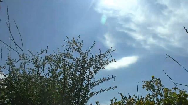 Подготовка новобранцев на Черноморском флоте смотреть онлайн
