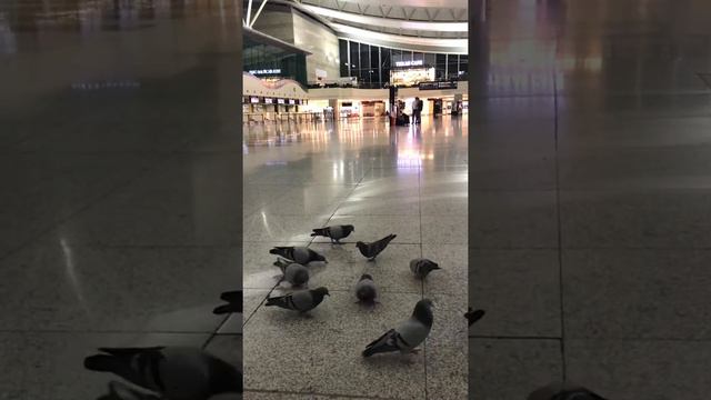 Мой муж говорит я его маленькая девочка)) смотреть онлайн