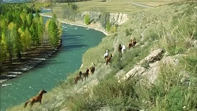 Алтай. Усадьба "Лузарина" - 2012 смотреть онлайн