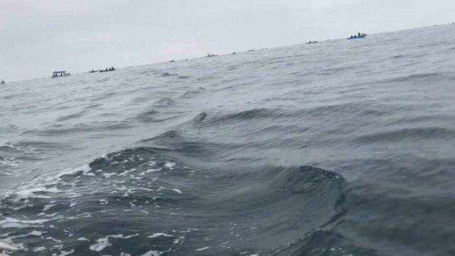 Черное море/Стрелецкая бухта/обзор моря/Рыбалки тут нет !!! смотреть онлайн