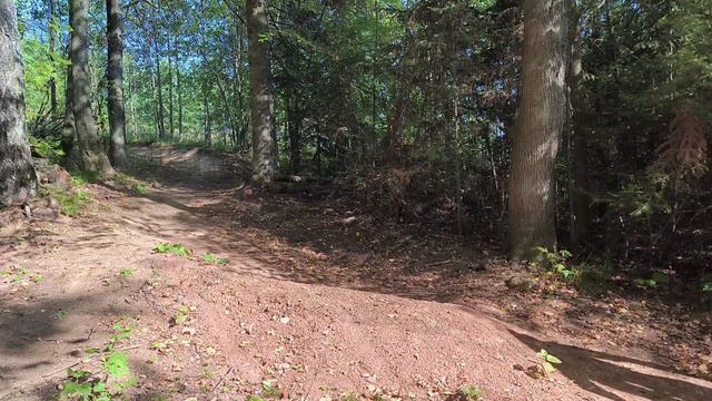 Чекерил трип 2024